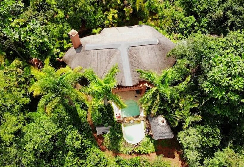 ホテル Timamoon Lodge