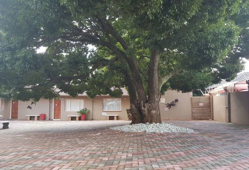 بنسيون African Sky Guest House