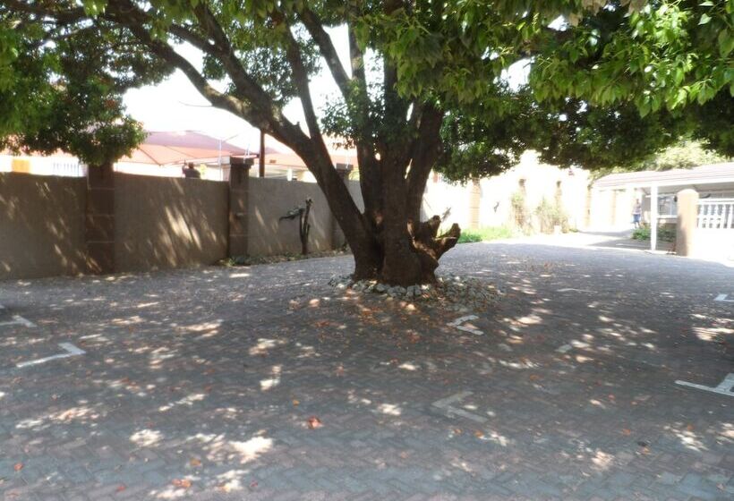 بنسيون African Sky Guest House