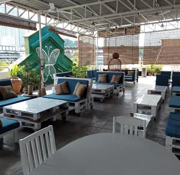 پانسیون Birdnest Guesthouse, Gaia Rooftop Cafe