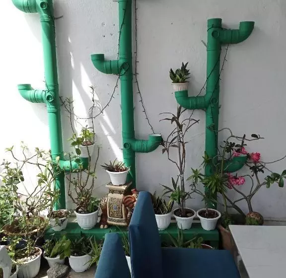 پانسیون Birdnest Guesthouse, Gaia Rooftop Cafe