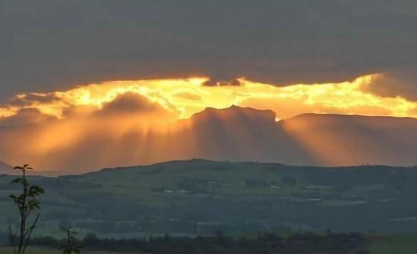 ペンション Sycamore Avenue Treehouses & Cottages Accommodation