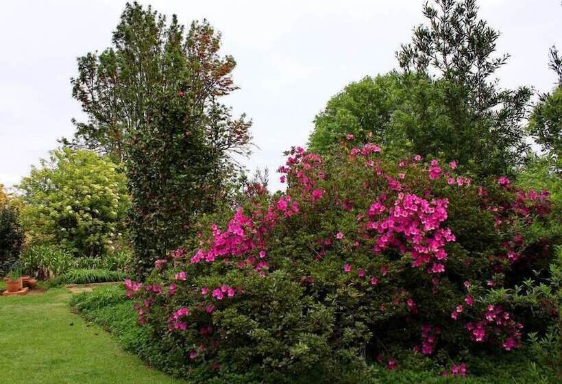 ペンション Sycamore Avenue Treehouses & Cottages Accommodation