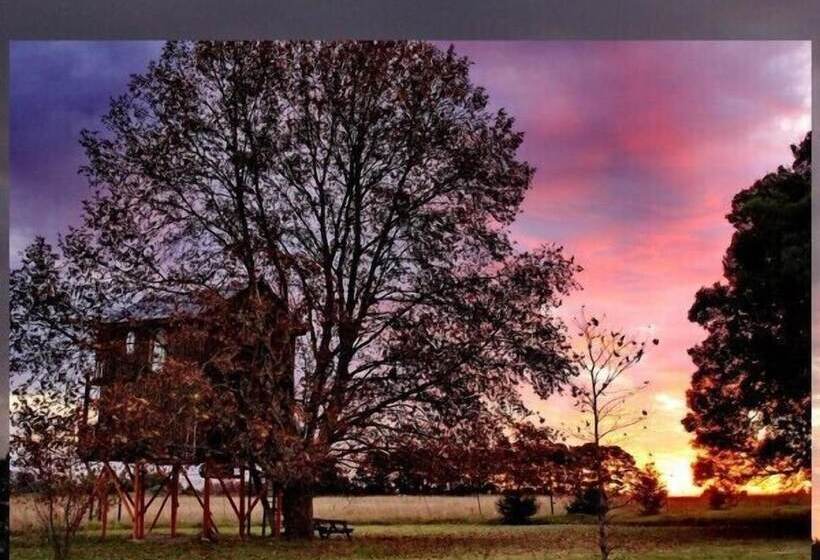 ペンション Sycamore Avenue Treehouses & Cottages Accommodation