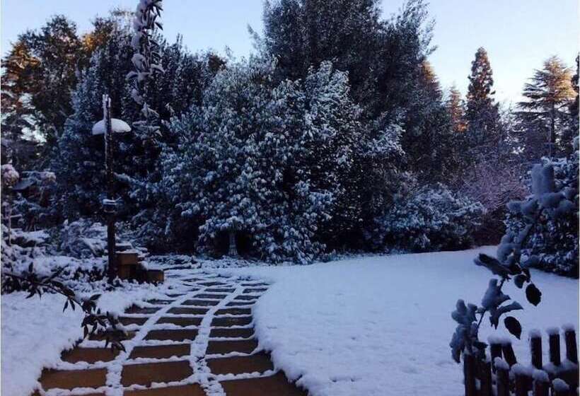 ペンション Sycamore Avenue Treehouses & Cottages Accommodation