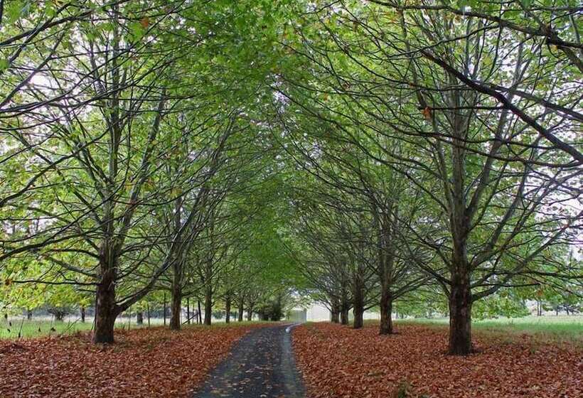 ペンション Sycamore Avenue Treehouses & Cottages Accommodation