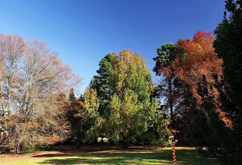 ペンション Sycamore Avenue Treehouses & Cottages Accommodation