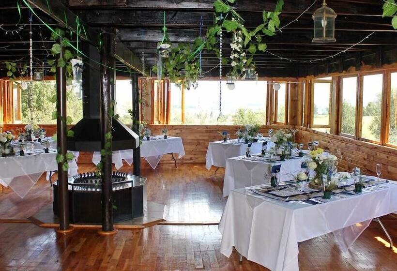 ペンション Sycamore Avenue Treehouses & Cottages Accommodation