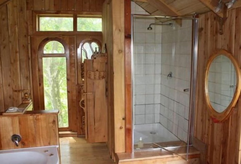 ペンション Sycamore Avenue Treehouses & Cottages Accommodation