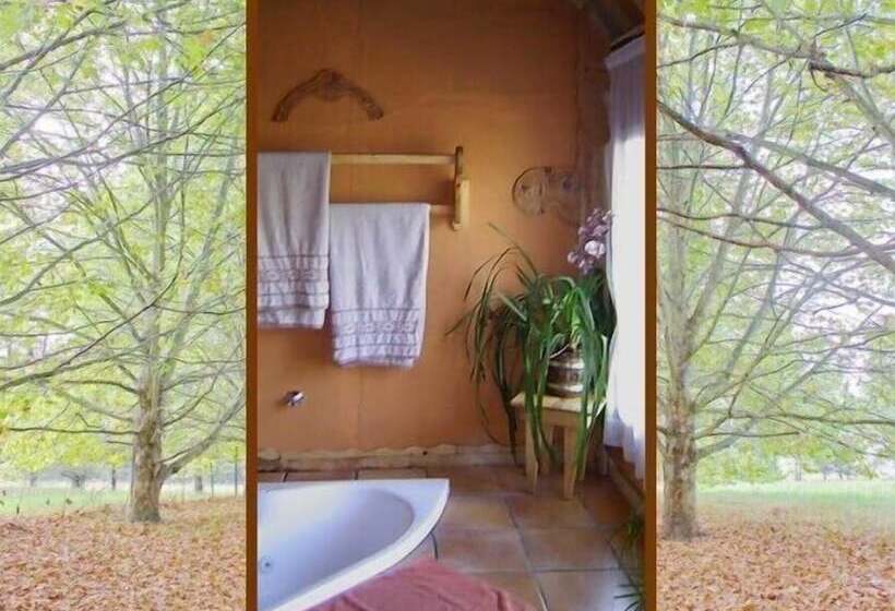 ペンション Sycamore Avenue Treehouses & Cottages Accommodation