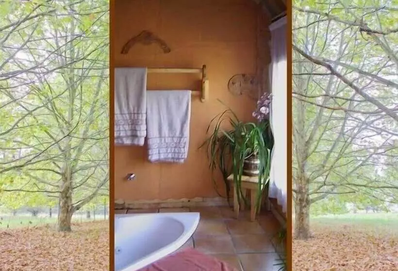 ペンション Sycamore Avenue Treehouses & Cottages Accommodation