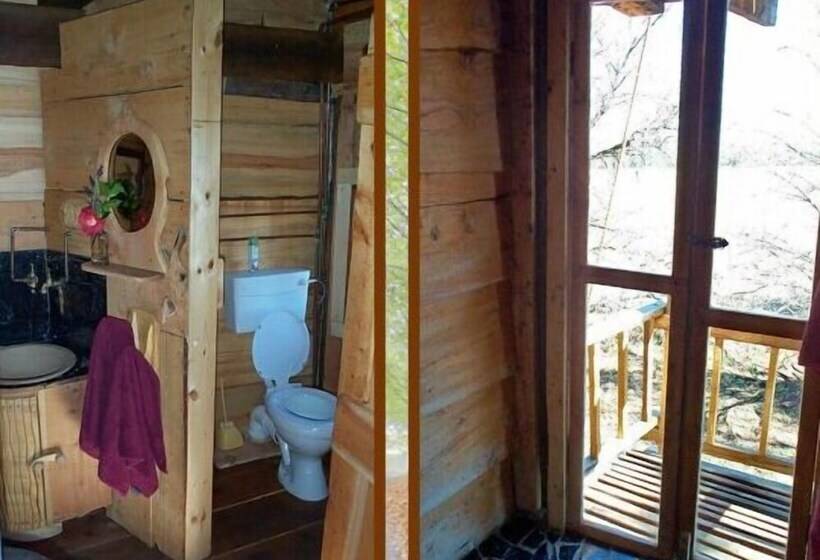 ペンション Sycamore Avenue Treehouses & Cottages Accommodation