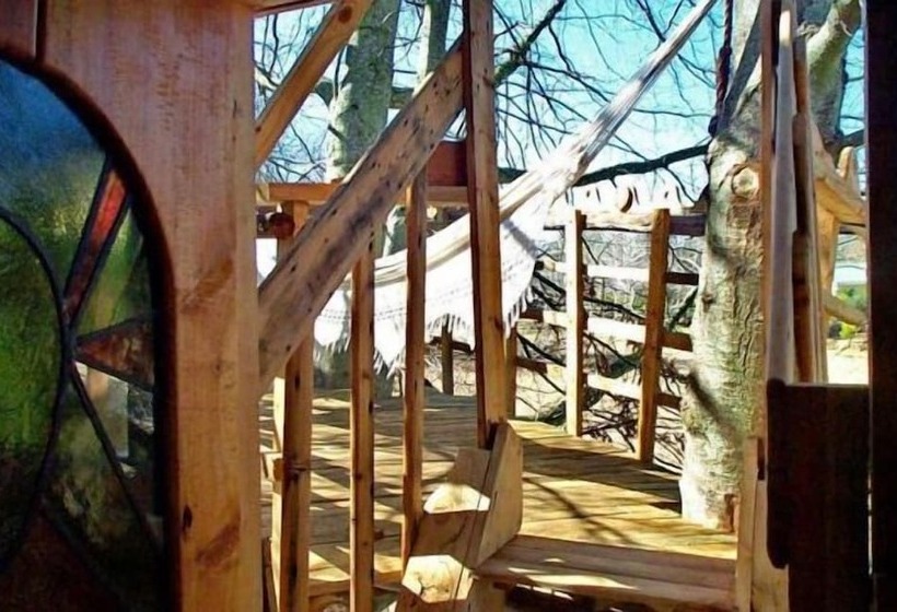 ペンション Sycamore Avenue Treehouses & Cottages Accommodation