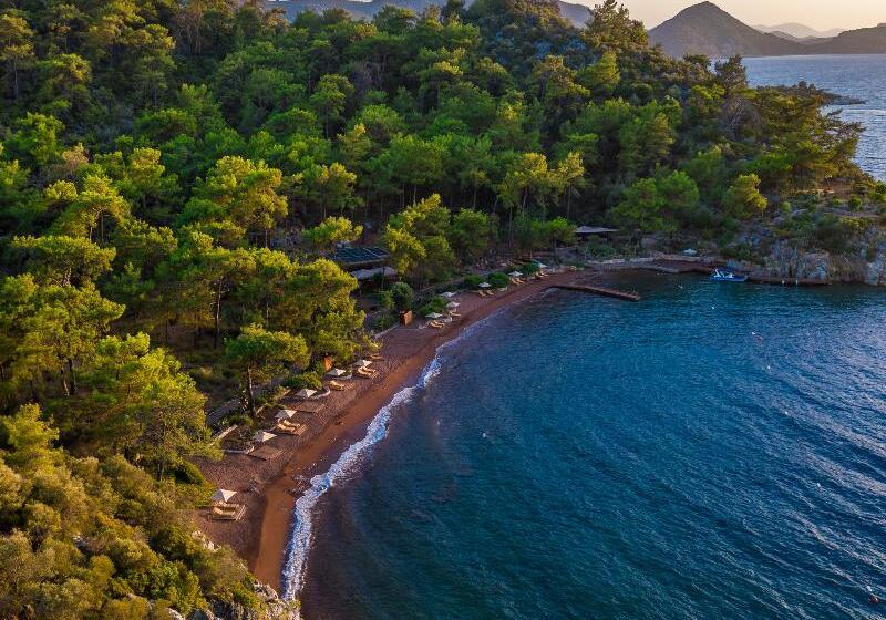 Отель Ada Capra