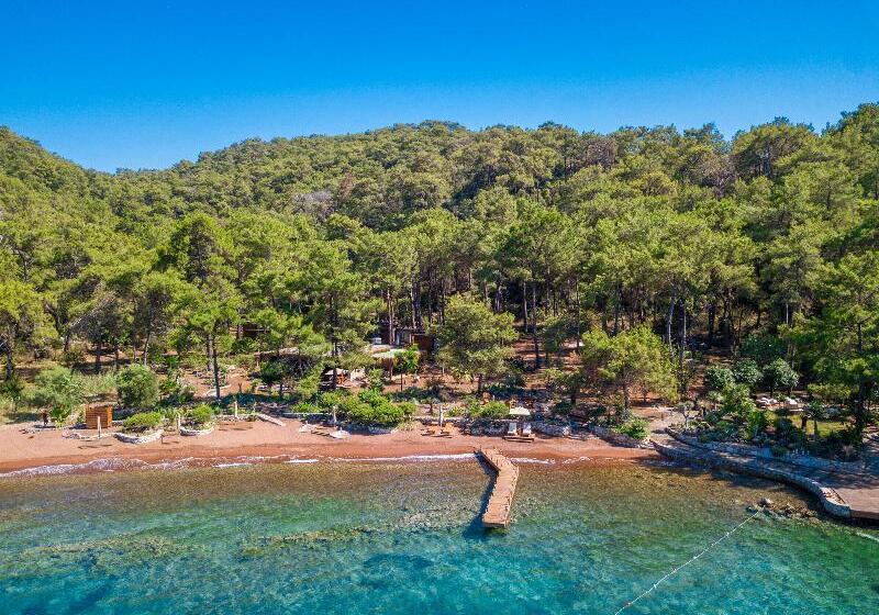 Отель Ada Capra