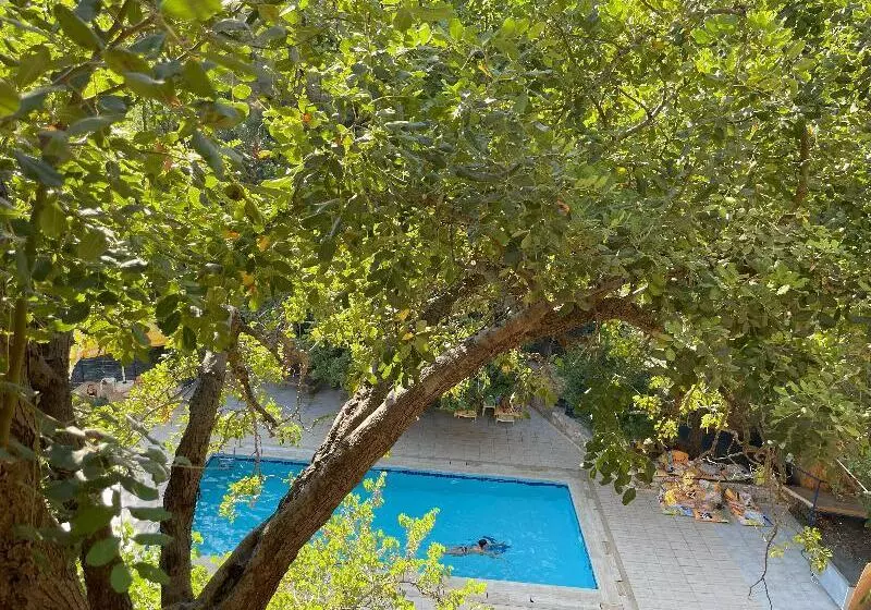 Hotelli Günes Holiday