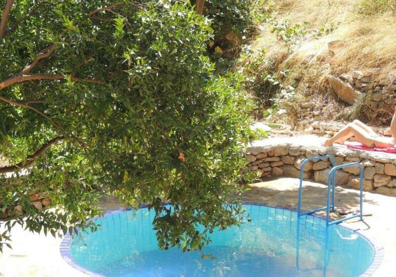 فندق Günes Holiday