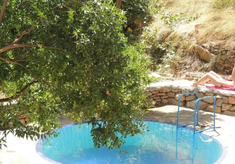 Hotelli Günes Holiday