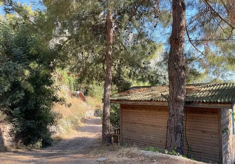 Hotelli Günes Holiday