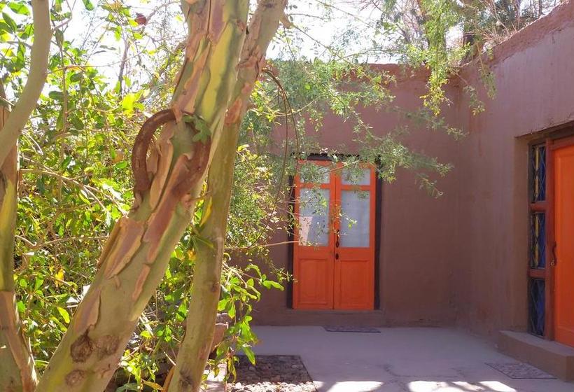 تختخواب و صبحانه Hard Road Atacama