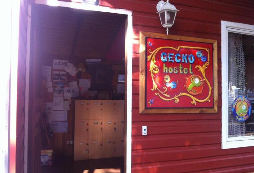 Gecko Hostel