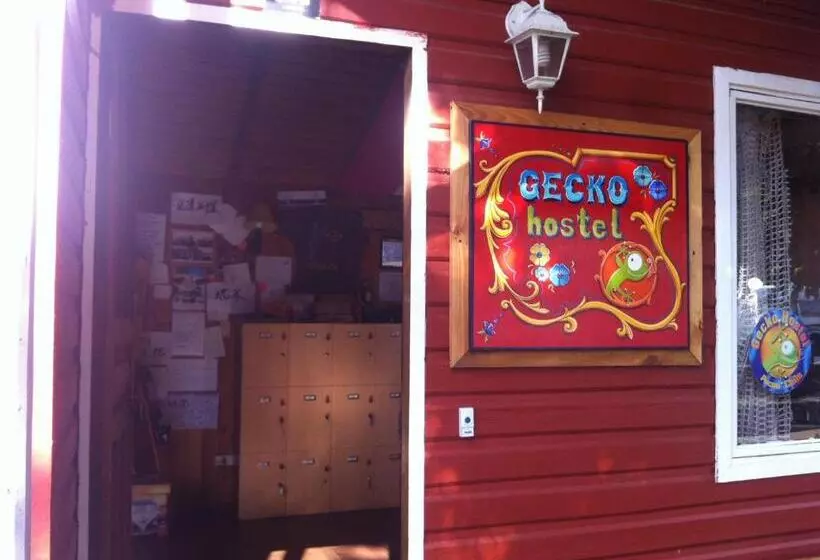Gecko Hostel