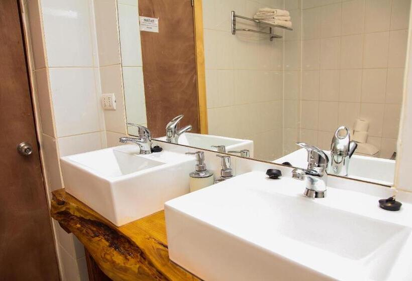 فندق فئة نجمة واحدة Faros Del Sur