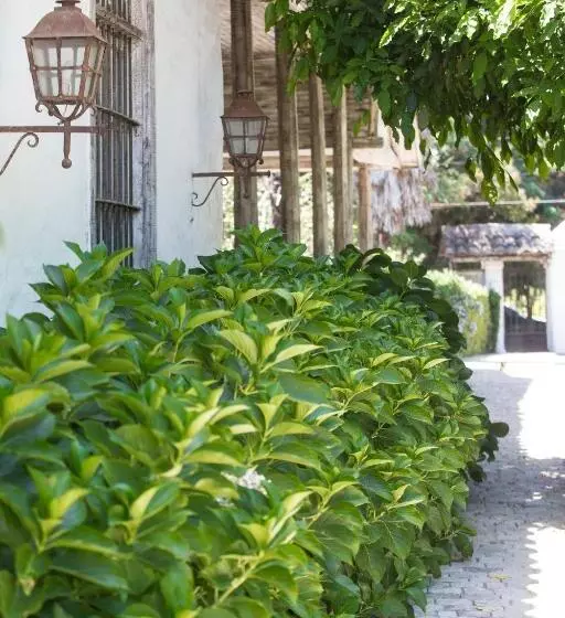ホテル Casa Silva