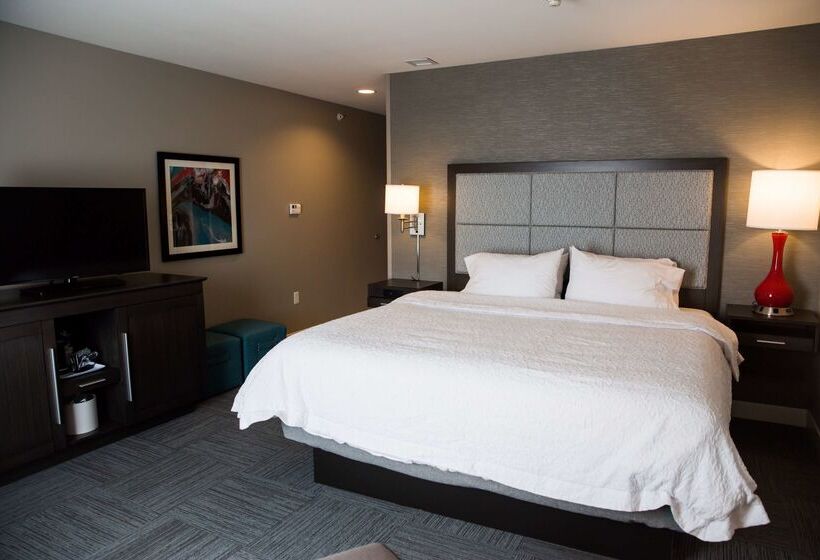 ホテル Hampton Inn Pontiac