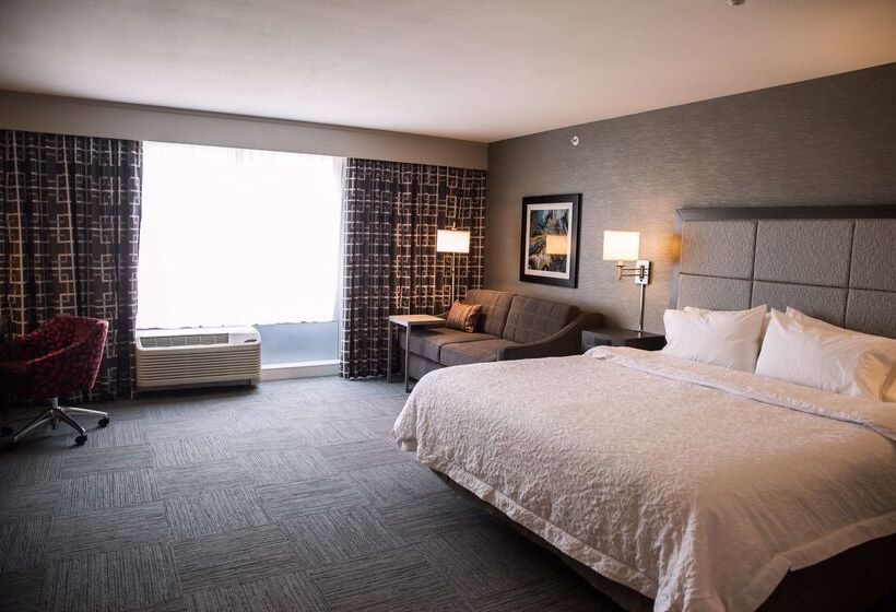 ホテル Hampton Inn Pontiac