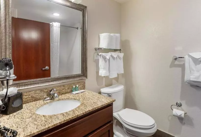 ホテル Mainstay Suites Near Denver Downtown
