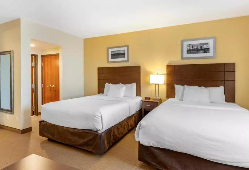 ホテル Mainstay Suites Near Denver Downtown