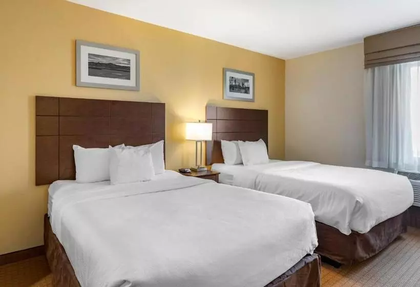 ホテル Mainstay Suites Near Denver Downtown