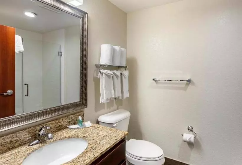 ホテル Mainstay Suites Near Denver Downtown
