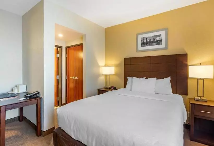 ホテル Mainstay Suites Near Denver Downtown