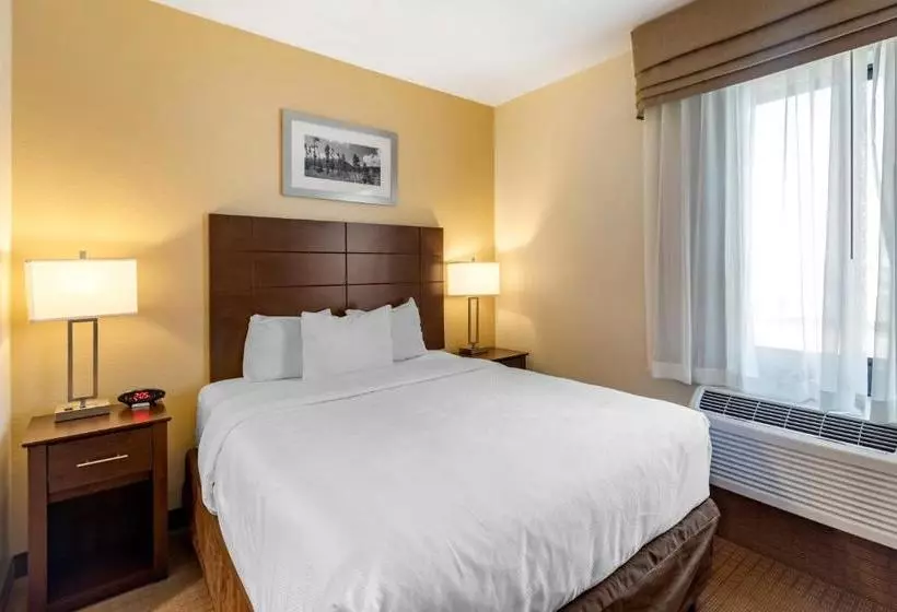ホテル Mainstay Suites Near Denver Downtown