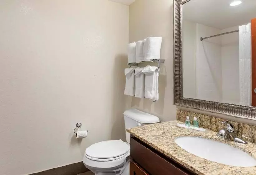 ホテル Mainstay Suites Near Denver Downtown