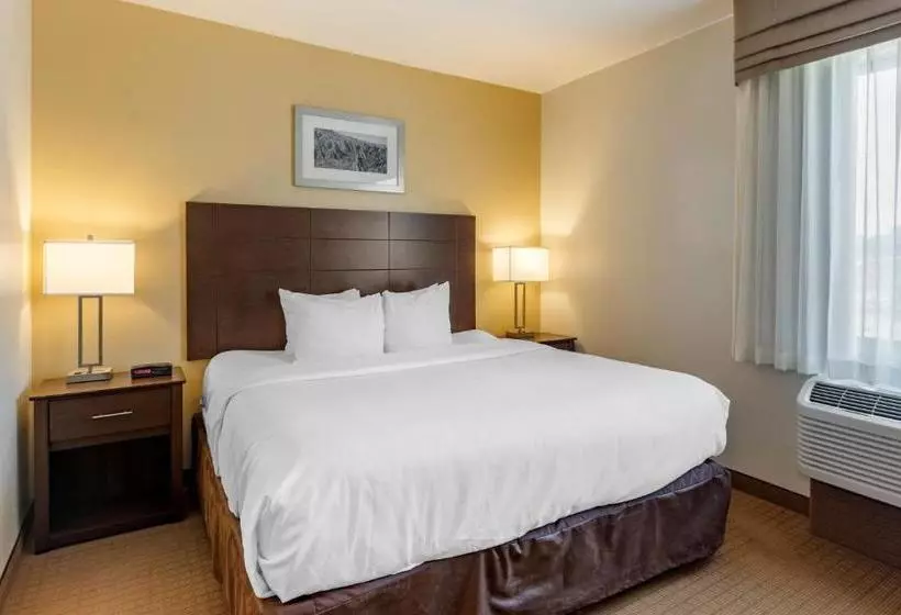 ホテル Mainstay Suites Near Denver Downtown