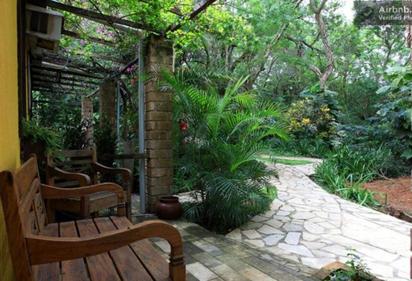 Fotos del hotel Pousada Telhado Verde By Htl:  4