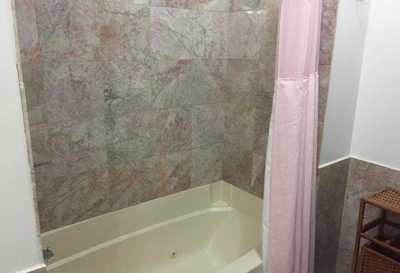 تختخواب و صبحانه 234 Winder St Inn