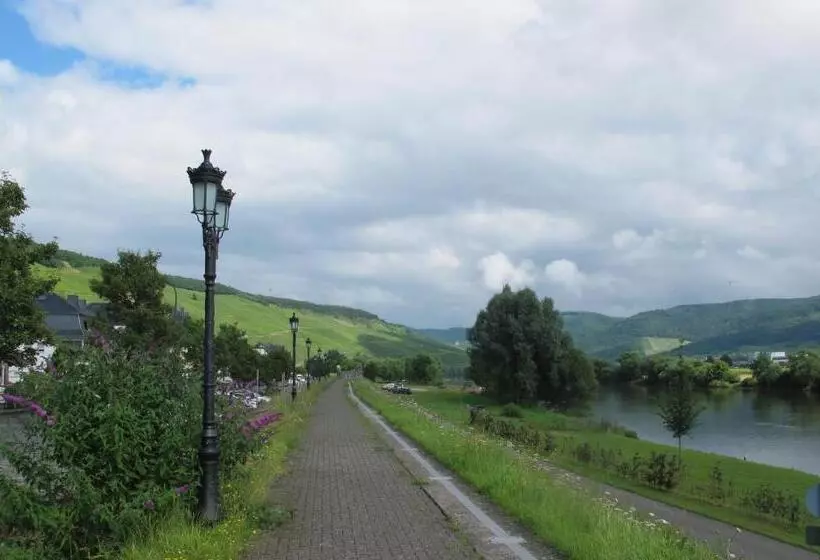 ベッドアンドブレックファースト Mosel   River   Quartier 31