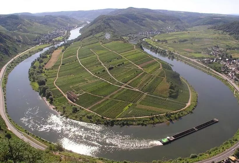 ベッドアンドブレックファースト Mosel   River   Quartier 31