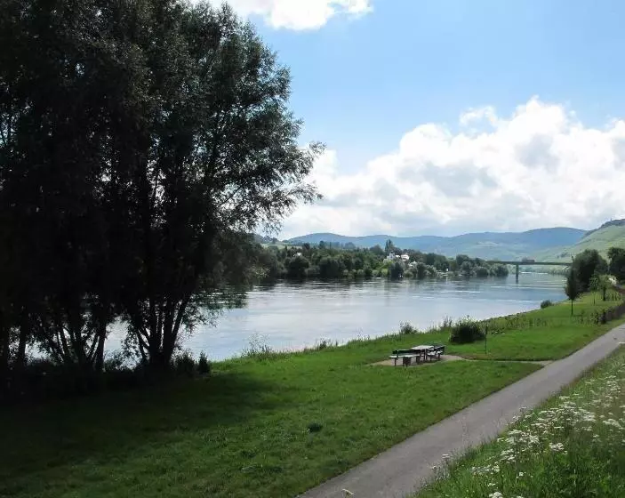 ベッドアンドブレックファースト Mosel   River   Quartier 31