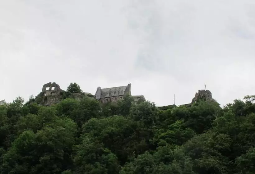ベッドアンドブレックファースト Mosel   River   Quartier 31