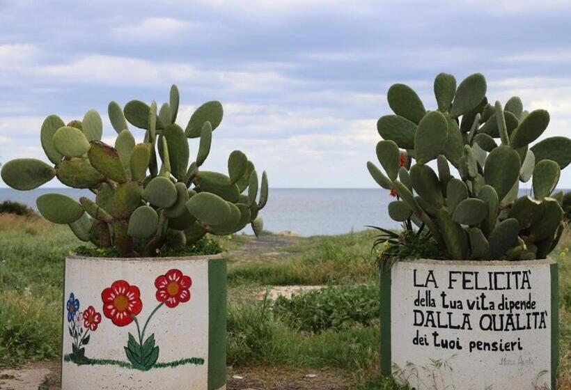 Nocleg ze śniadaniem Samoa Beach