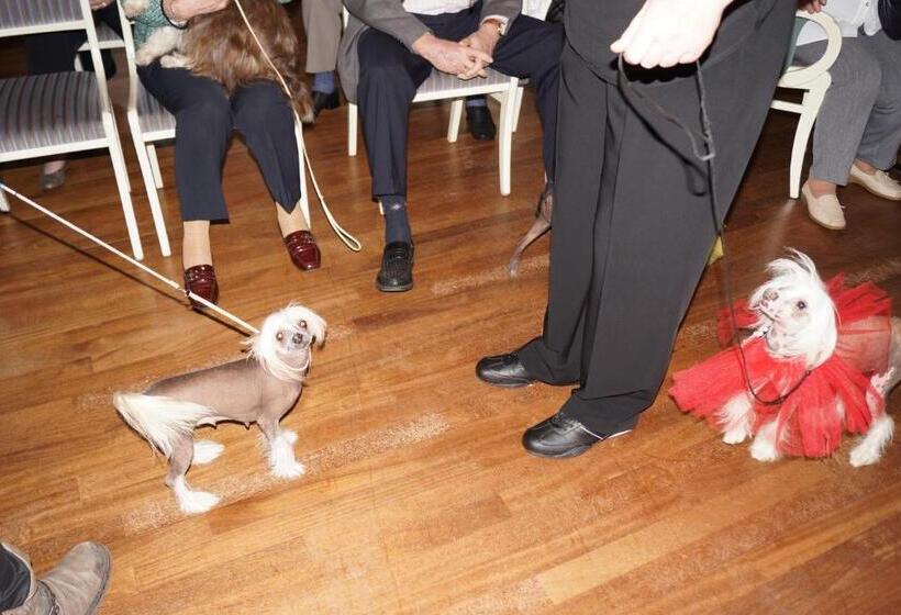 Отель Allmanns Kroog