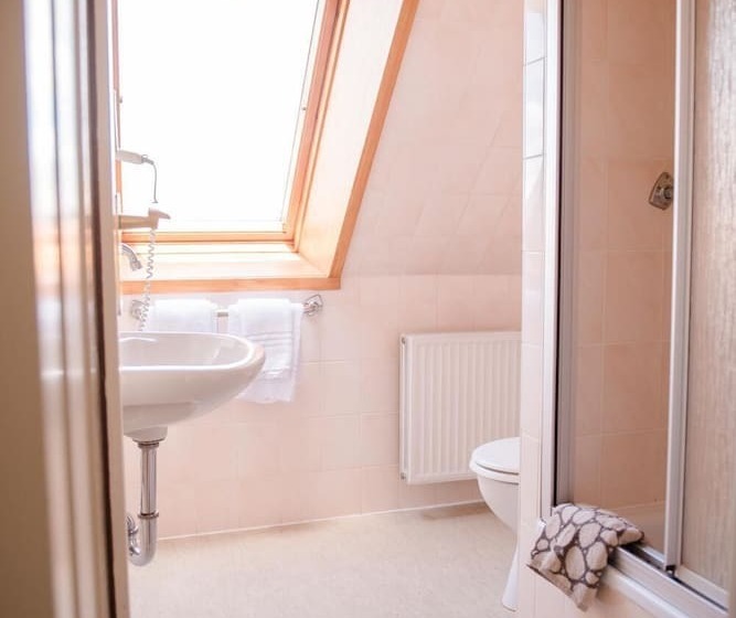 Отель Allmanns Kroog