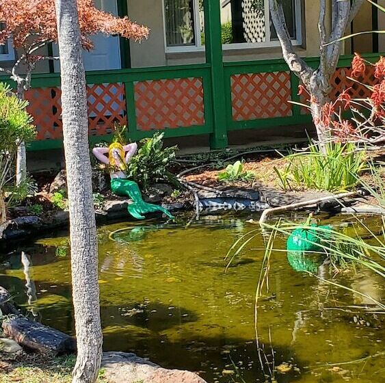 فندق Clear Lake Vista Resort