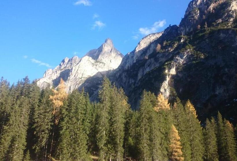 Отель Garni Angerer