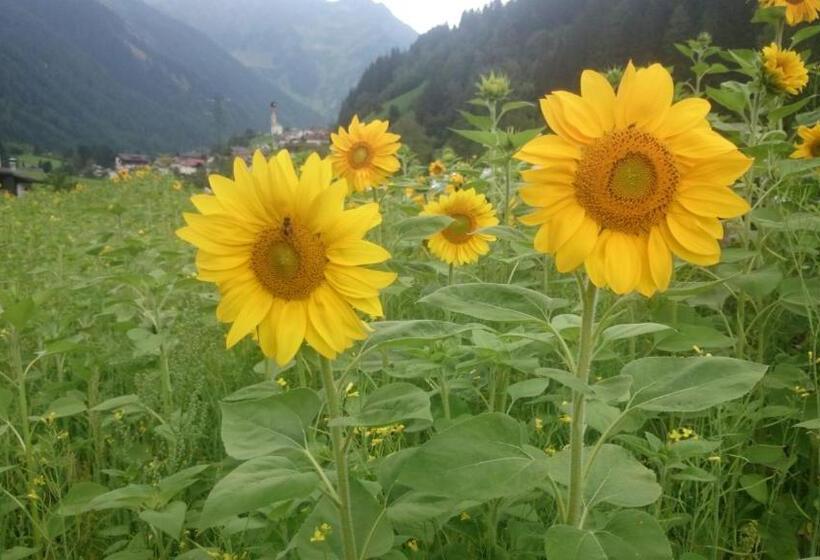 Отель Garni Angerer